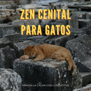 Retiro Zen De Gatos