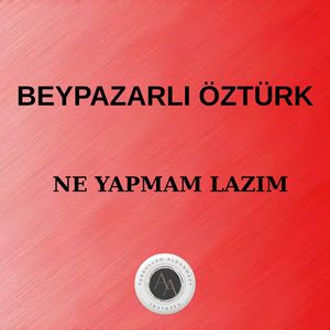 Ne Yapmam Lazım