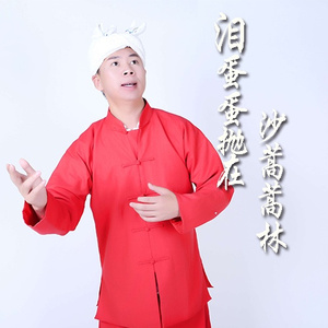 泪蛋蛋抛在沙蒿蒿林 (伴奏)