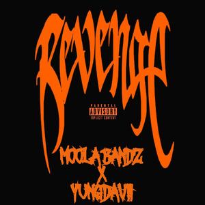 REVENGE (feat. YUNG DAVII)