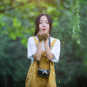 萱草花的爱