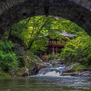 听木林雨声(2)