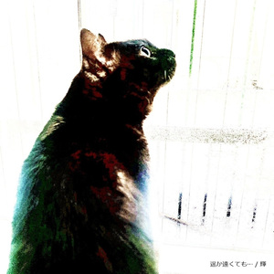 遥か遠くても…