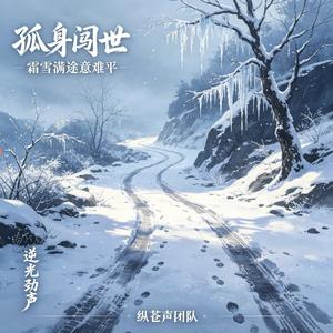 孤身闯世