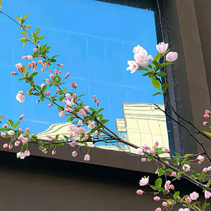 天空之外 (男声版)