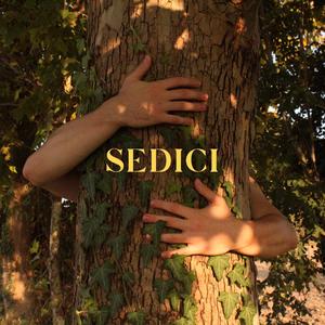 Sedici