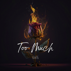 Too Much