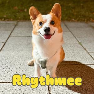 리듬이 (feat. 정보석)