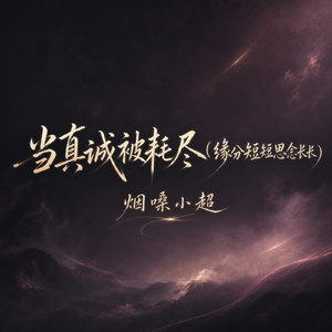 当真诚被耗尽(缘分短短思念长长)
