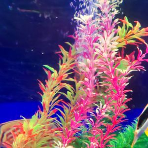 站街边(prod.keerad)