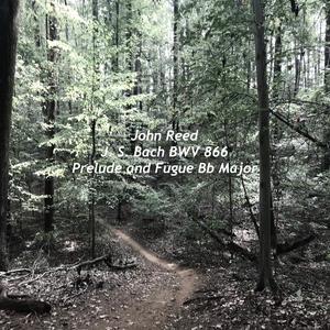 J. S. Bach BWV 866 Fugue Bb Major