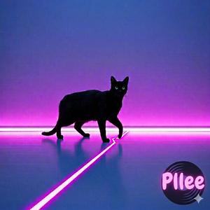 Argument (말다툼)