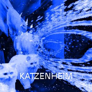 Bevor wir untergehen