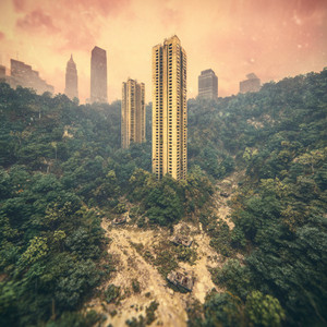 Beneath the Forgotten Hearth