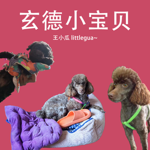 玄德小宝贝 伴奏