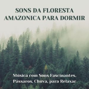Sons Zen Naturais