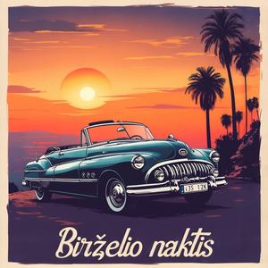 Birželio Naktis