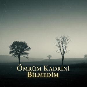 Ömrüm Kadrini Bilmedim (feat. Nurgüzel Kestane)