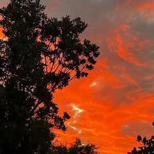 Those three words she couldn't say