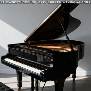 Kreisleriana (VI Sehr Langsam Ember In Snow) [Op 16]