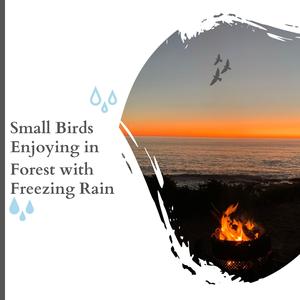 Peaceful Nature Ocean Forest