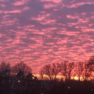 沈阳大街虎哥寻徒记