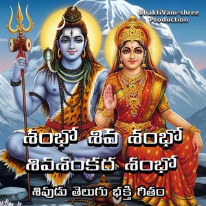 శంభో శివ శంభో శివశంకర శంభో (feat. ANIL CH)