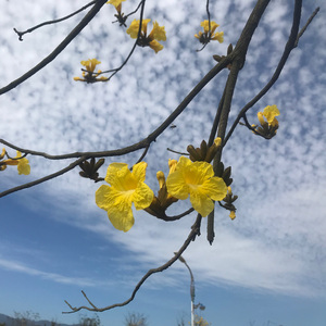 山河诗旧