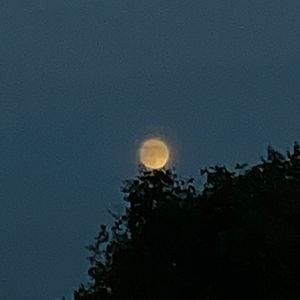 先写一半，还没想好叫什么