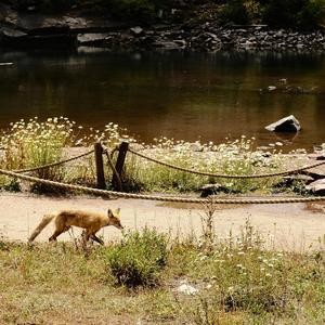 Wanderlust (Raw Outdoor Rec.)