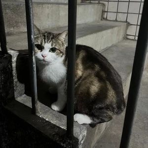 CREEP (prod BJORN LLANEZA)