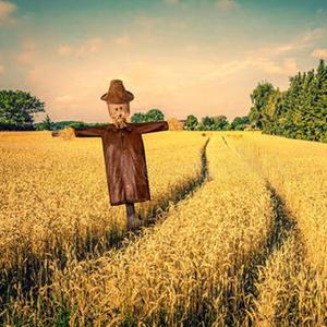 如果有来生 男生版