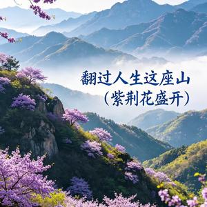 翻过人生这座山(紫荆花盛开)