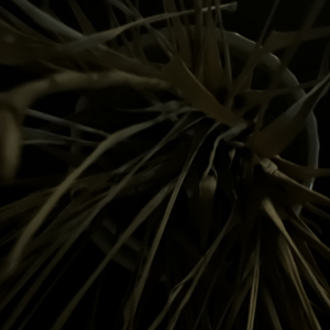 ILL ＤＩＥ ᴬᴸᴼᴺᴱ¿