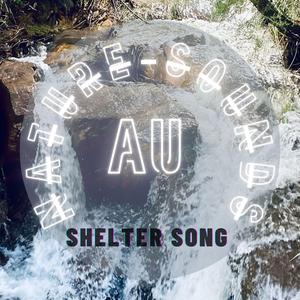 SHELTER SONG