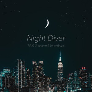 Night Diver