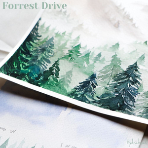Forrest Drive