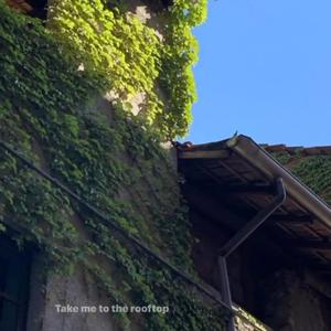 take me to the rooftop