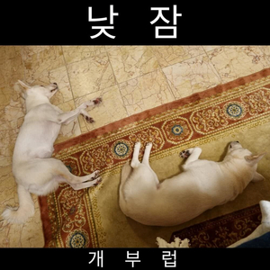 달콤함이 감싸오면
