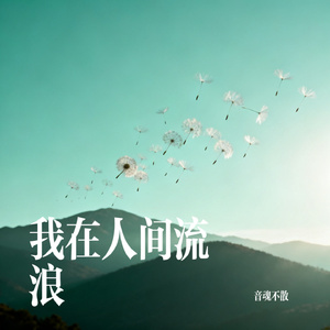 我在人间流浪
