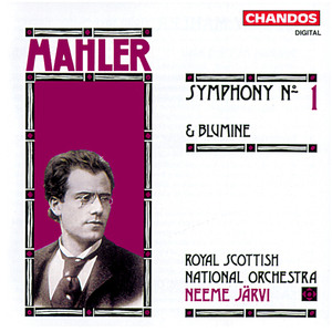 Symphony No. 1 in D Major, Pt. 1. Aus den Tagen der Jugend "Jugend, Frucht und Dornenstücke": 3. (2) Kräftig bewegt, doch nich