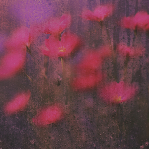 Evergrowth