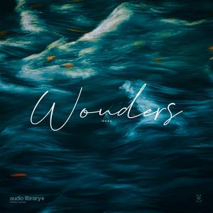 Wonders