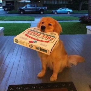 离别渡口的月色