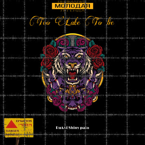 Too Late To Lie (feat. Shiny pain)
