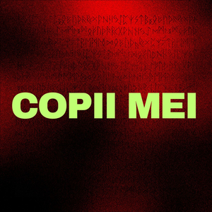 COPII MEI