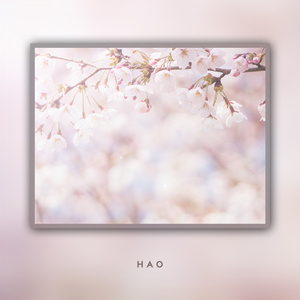 보고 싶은 날엔