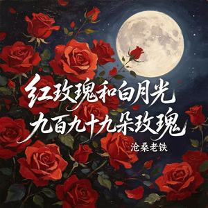 红玫瑰和白月光（九百九十九朵玫瑰）