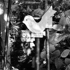 Hey Friend (feat. Ed Shores)