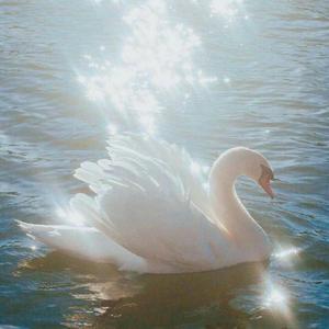 Chillin & Peace Vibe Type Beat "Heart to be"